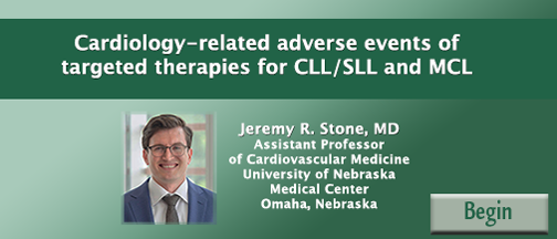 Cardiology-related adverse events of targeted therapies for CLL/SLL and MCL